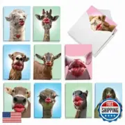 The Best Card Company Assorted Blank Greeting Card Box Set - Incl. 20 Cards +
