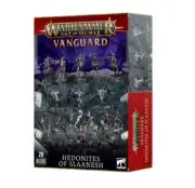 Hedonites of Slaanesh Spearhead / Vanguard AOS Warhammer Sealed