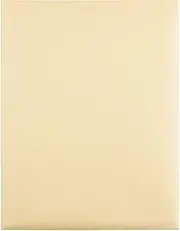 Quality Park, Document Envelopes, Gummed, Cameo Buff, 10x15, 100 per Box (54416)