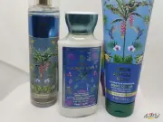 Bath & Body Works NEW! 3pcs FRESH JUNGLE RAIN set lotion spray VHTF RARE