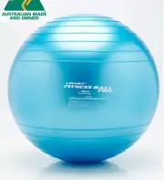 65 CM PROFIT SWISS BALL