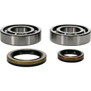All Balls Crankshaft Bearing & Seal Kit 24-1129