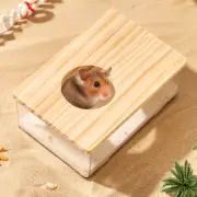 Bath Toy Container Acrylic Sand Basin Travel Hamster Storage Box Chinchilla