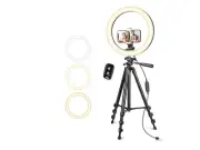 Ring Light With Stand and ...Ok str earning Zoom Meeting Model:1349336 10 Inch