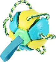 GANAZONO Dog Chew Toy Ball for Pet Training Fetch Toy Wear-Resistant Small Lightweight for Pet Play
