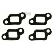 Platinum Extractor Gasket - HSM43