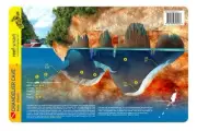 Chandelier Cave Palau Reef Smart Waterproof Dive Card