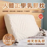 在飛比找蝦皮商城精選優惠-日和 乳膠枕 人體工學乳膠枕 獨立筒枕