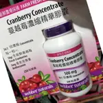 代購COSTCO好市多 WEBBER蔓越莓濃縮精華膠囊 250粒