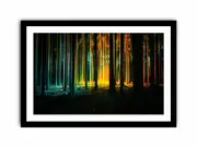 Golden Trees Canvas Painting Print
