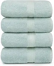 Ariv Towels 4-Piece Large Premium Bath Towels Set-Suitable for Sensitive Skin & Daily Use-Soft, Quick Drying & Highly Absorbent Towels for Bathroom, Gym, Hotel & Spa- 30" X 52"- Duck Egg