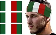 [ZENRUIMING] 3 Pcs Italy Flag Hair Bands, Sweat Absorbing and Breathable Sports Elastic Hair Bands, Multi-Functional Turban Yoga Headbands