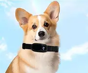 High Definition Portable Dog Tracker Collar Camera Action Sport Dog Cam Cat Video Camera for Outdoor Activities (Black)