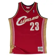 Mitchell & Ness Cleveland Cavaliers Road 2003-04 Lebron James Swingman Jersey