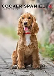 Cocker Spaniel Calendar Square 2026 – A Year of Floppy Ears & Wagging Tails