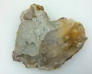 Agatized Fossil Coral 130222 Metaphysical Emotional Balance Healing