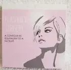 Cherry Chree PLASQUICK SURGERY Contour Kit Blendable Powder Angled Brush New
