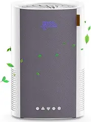 Air Purifiers for Bedroom Home, ECOWELL HEPA H13 Filter Air Purifiers for Home Large Room Office Living Room, Small Air Purifier for Pet Dander Odors Smokers Pollen Dust, Air Cleaner with Sleep Mode
