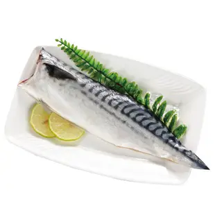 挪威鹽漬鯖魚片5片/組(140~180G/片)【愛買冷凍】