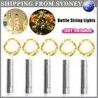 LED Fairy Wine Bottle String Lights Cork Copper Wire Xmas Wedding Night Party AU