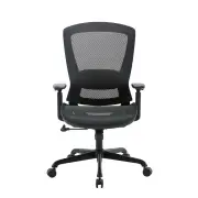 Maestro Furniture Daisy Mesh Seat Executive Manager Office Task Computer Working Chair - Black