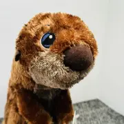 Disney Store Authentic Finding Dory Sea Otter 10" Plush Stuffed Animal