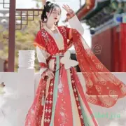 Womens Floral Hanfu Long Dress Tang Suits Cosplay Performance Clothes Strap Lady