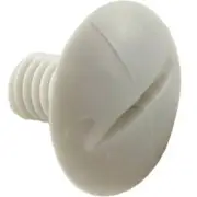 Jandy Zodiac C55 Wheel Plastic Screw