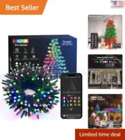Smart Voice-Controlled Christmas Lights - 66ft 200 LED - Works with Alexa