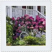 3dRose qs_96936_3 Spectacular Spring Garden, Whimsical Antique Bicycle-US48 TDR0737-Trish Drury-Quilt Square, 8 by 8-Inch