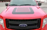 2009-2014 Ford F-150 Truck QUAKE HOOD Digital Print Stripe Decal Graphic
