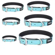 [Red Dingo] Elegant Vegan Leather Collar (Turquoise) - 50cm (25mm)