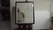 Thomus Fisher "Big Horn MTN Sheep" artist 144/1000 signed framed 19/24 in 1977