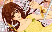 Anime vampire knight yuki Playmat Gaming Mat