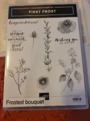 Stampin Up FIRST FROST rubber stamp set w/ FROSTED BOUQUET Framelits Dies