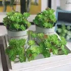 Supply Wedding Decoration Succulents Land Lotus Fake Flower Artificial Plant