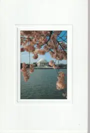 POSTCARD , OLD UNUSED / JEFFERSON MEMORIAL , SPRINGTIME