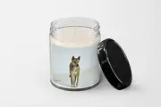 Australian Dingo on Beach Candle - Soy Wax Candle - Hand Poured Candle