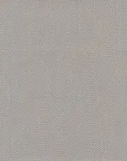 Cascade Glimmer Wallpaper Beiges TD1058N Texture Digest