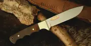 PUMA SGB Wildcat, Jacaranda Knife 6816300W German Steel