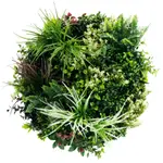 Slimline Artificial Green Wall Disc Art 60cm Colour Fresh UV Resistant (Black)