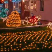 New One Orange Halloween Net Lights for Outdoor Bushes, 3 Pack Net Lights (6F...
