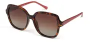 Radley RDS 6505 102P Men's Sunglasses Tortoiseshell Size 57