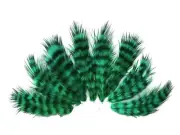 USA SELLER - 1 Dozen - Peacock Green Grizzly Rooster Chickabou Fluff Feathers