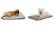 Heavy Duty Chew Resistant Gray Crate Mats for Dogs Reinforced Megaruffs Dog Beds