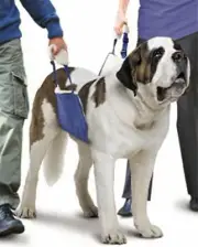 Soft Quick Lift XLarge Fleece-Lined Reinforced Body Canine Dog 91-160 Pounds