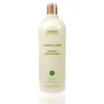 【型男班森】AVEDA 迷迭薄荷潤髮乳 250ML 1000ML