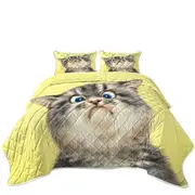 Cats Cute and Funny Faces Unhappy Grey Kitten Coverlet