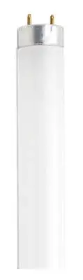 Lighting S6511 Single 18" 15 Watt T8 Bi Pin Fluorescent Bulb - Frosted