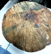 104 SPALTED NORFOLK ISLAND PINE, CUTTING BOARDS,PEN BLANKS,SCALES,BOWL